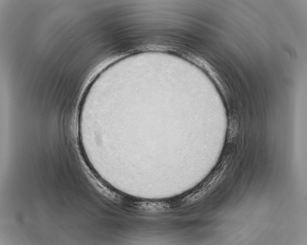 X0000112520795200909281015