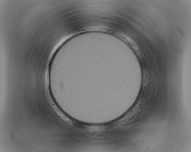 X0000112520796200909281015