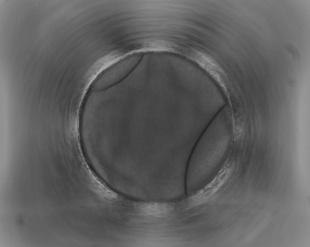 X0000112520797200909281015