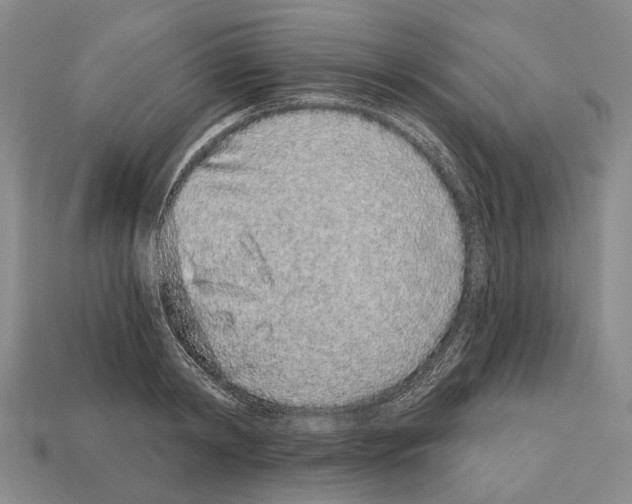X0000112520798200909281015