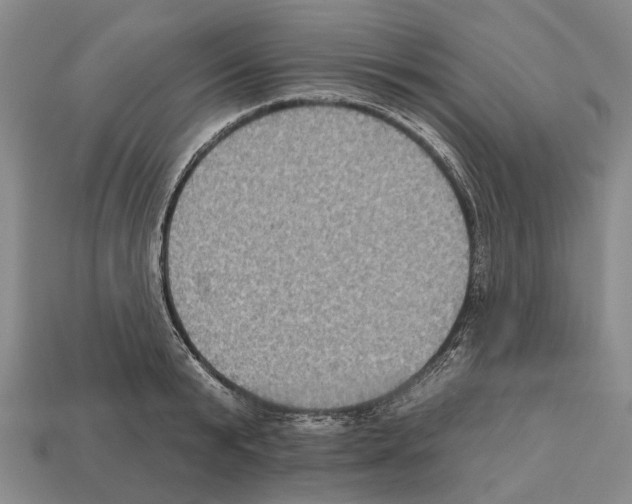 X0000112520799200909281015