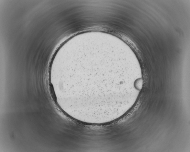 X0000112520800200909281015