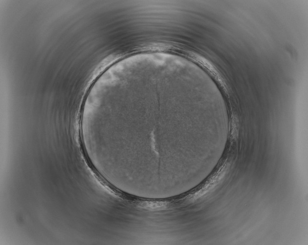 X0000112520802200909281015