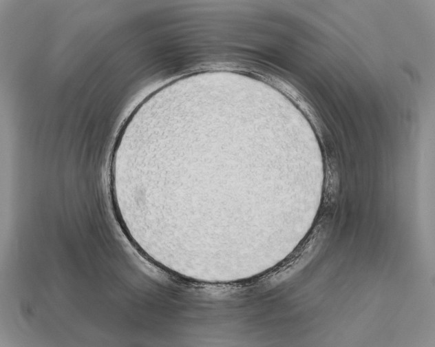 X0000112520803200909281015