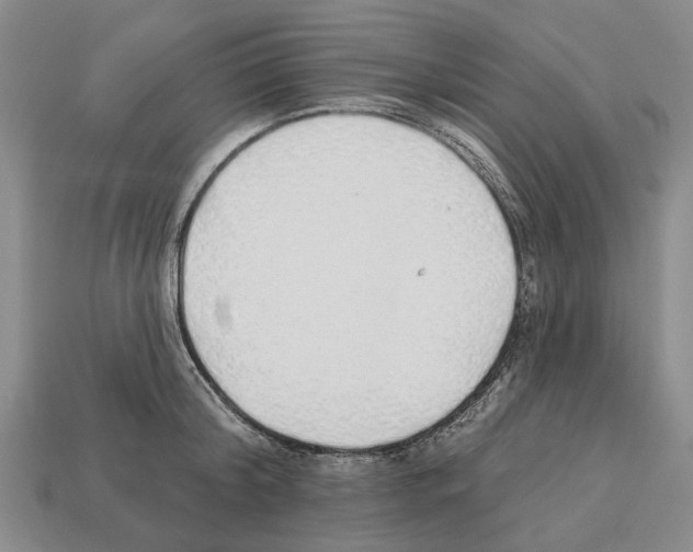 X0000112520804200909281015