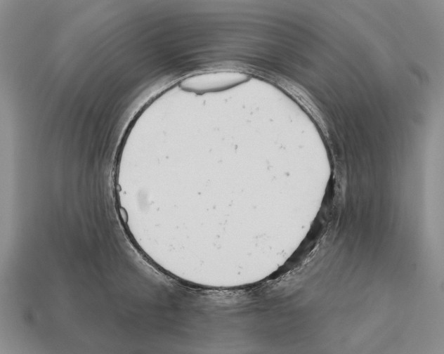 X0000112520805200909281015