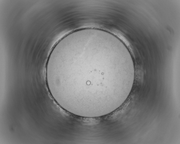 X0000112520807200909281015