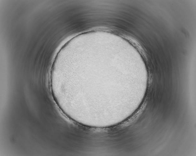 X0000112520808200909281015