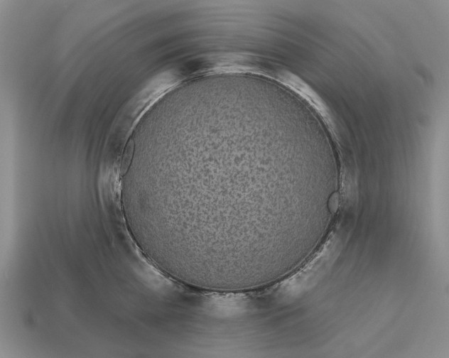 X0000112520809200909281015