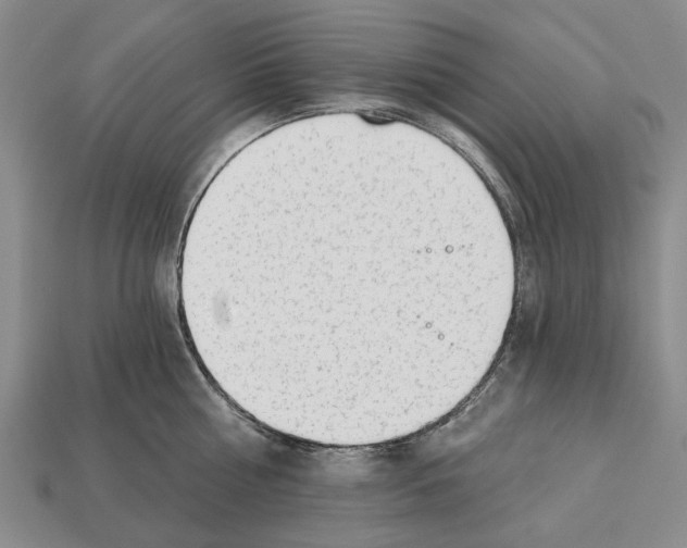 X0000112520810200909281015