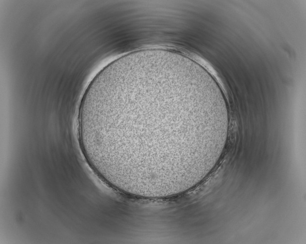 X0000112520811200909281015
