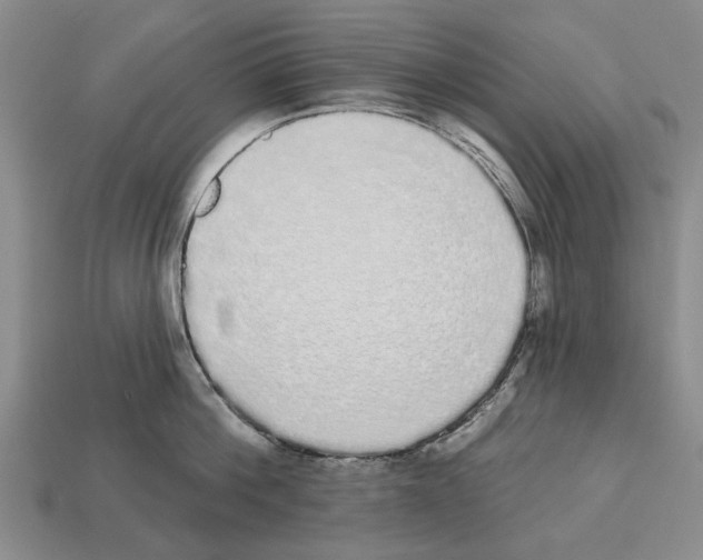 X0000112520812200909281015