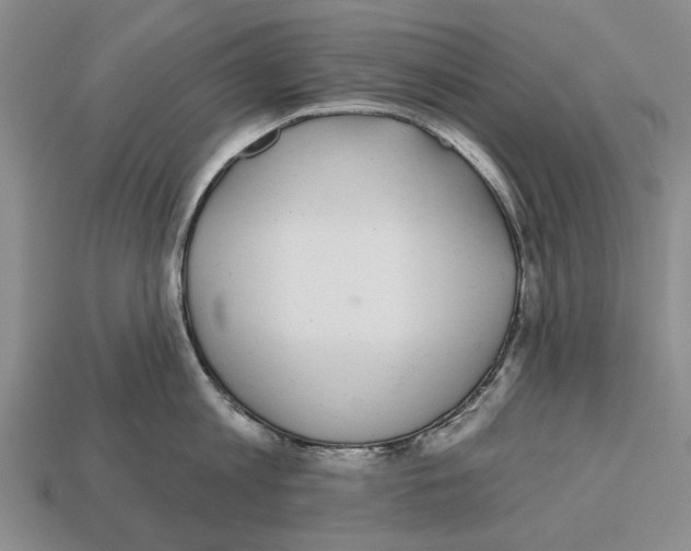 X0000112520813200909281015