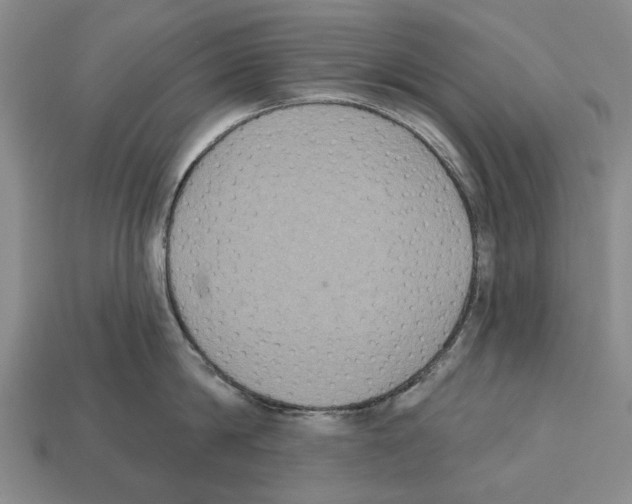 X0000112520814200909281015