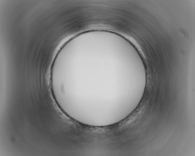 X0000112520815200909281015