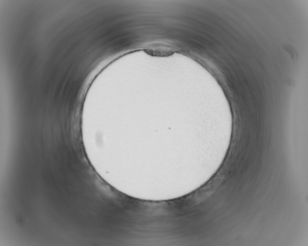 X0000112520816200909281015