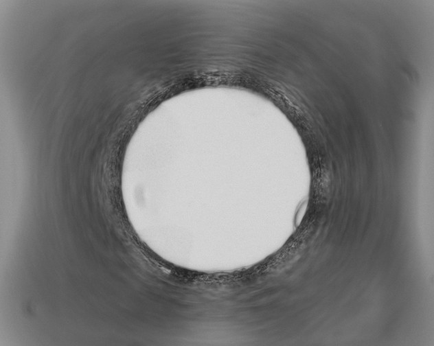 X0000112520817200909281015