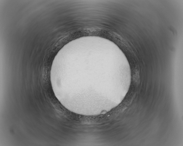 X0000112520819200909281015