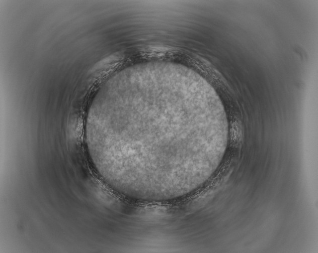 X0000112520820200909281015