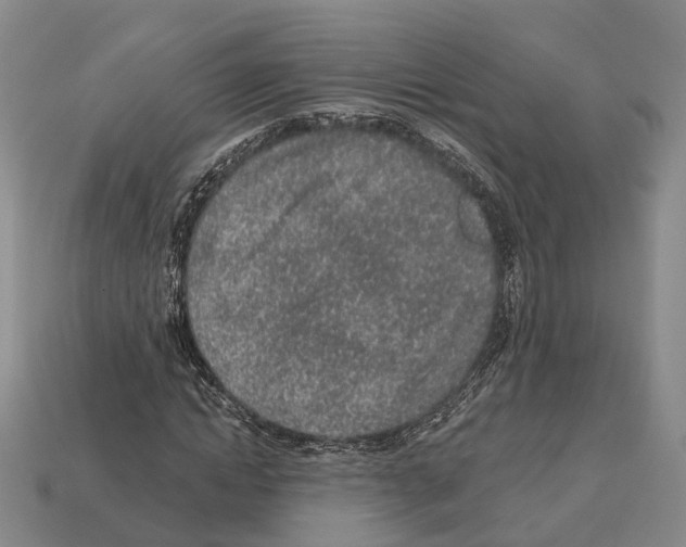 X0000112520822200909281015