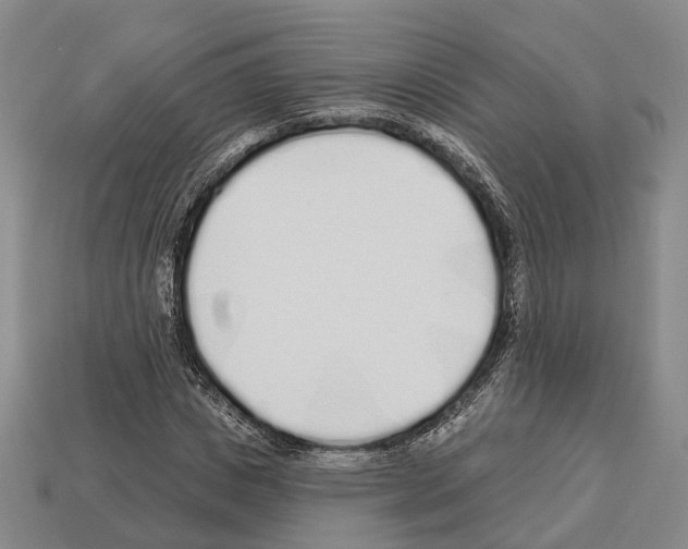 X0000112520825200909281015