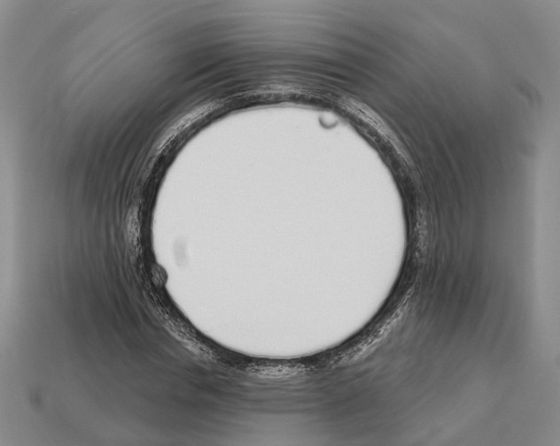 X0000112520826200909281015