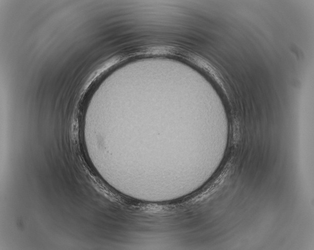 X0000112520827200909281015