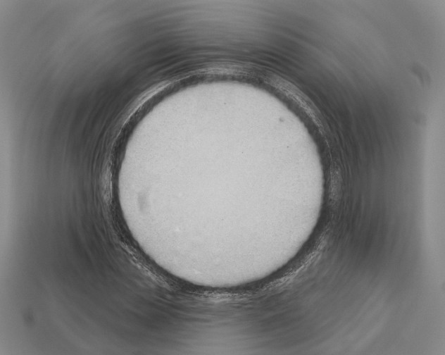X0000112520829200909281015