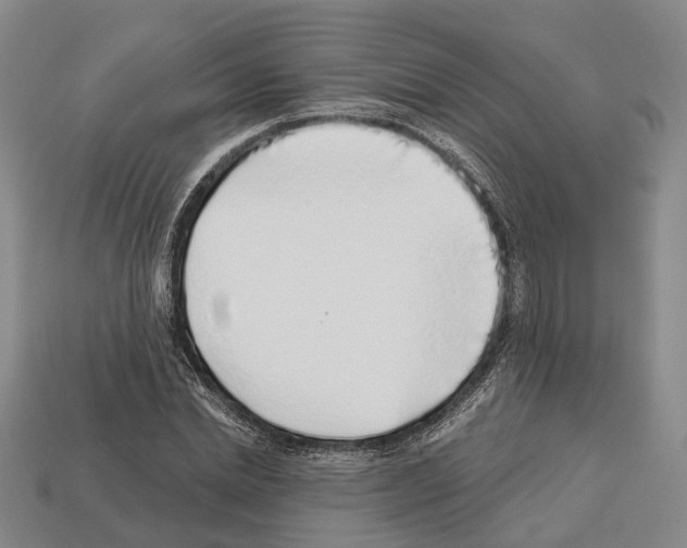 X0000112520830200909281015