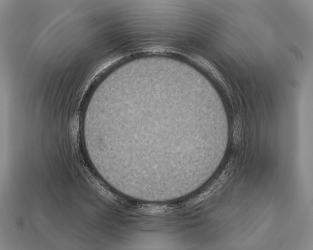 X0000112520831200909281015