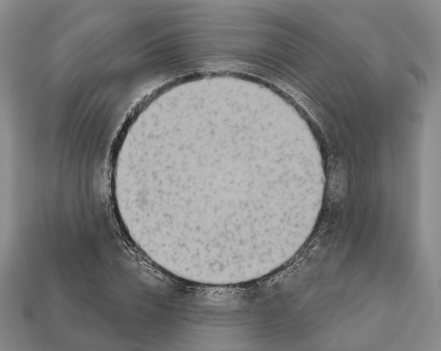 X0000112520832200909281015