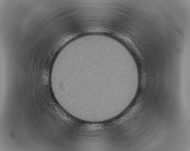 X0000112520833200909281015