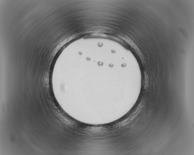 X0000112520834200909281015