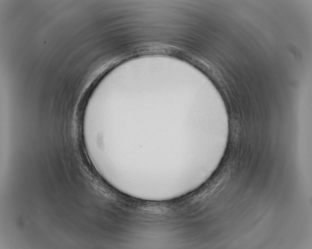 X0000112520835200909281015