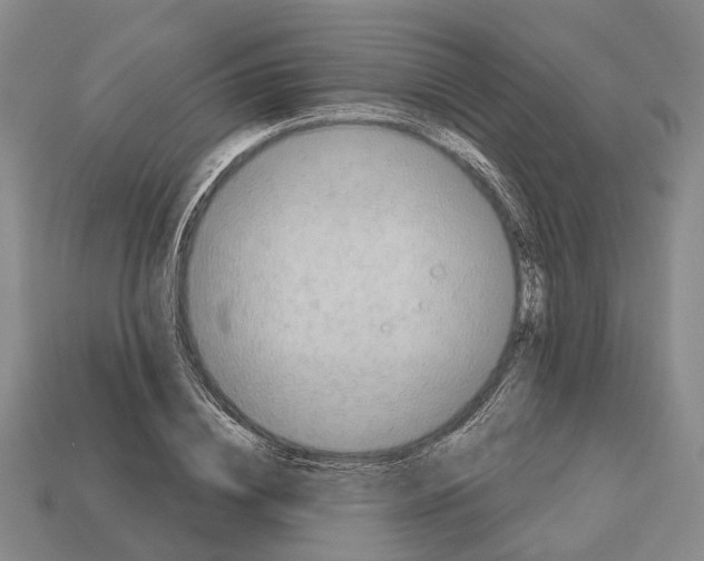 X0000112520836200909281015