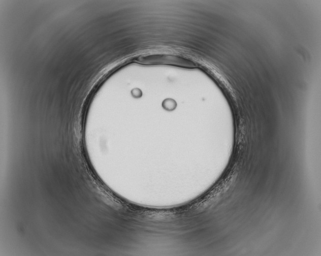 X0000112520837200909281015