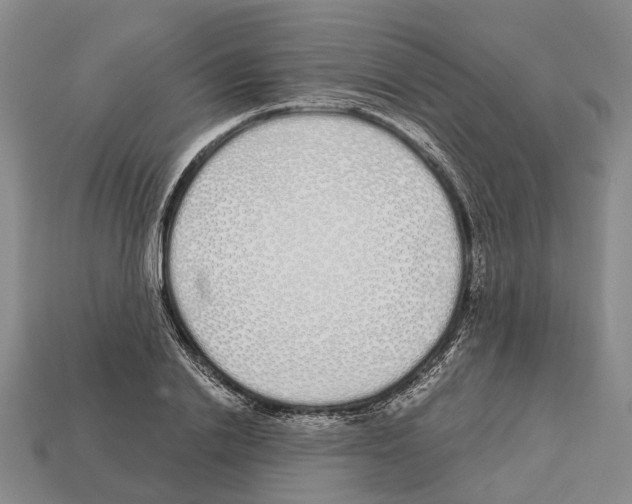 X0000112520838200909281015