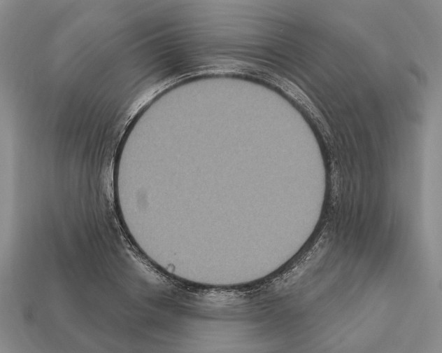 X0000112520842200909281015