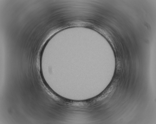 X0000112520843200909281015