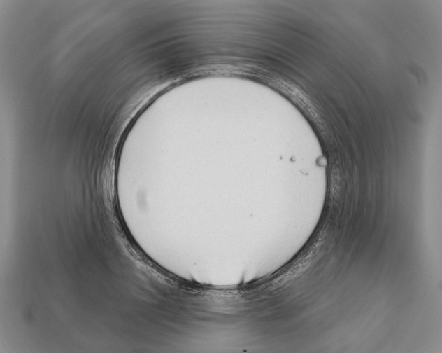 X0000112520844200909281015