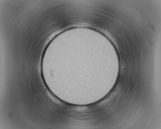 X0000112520845200909281015