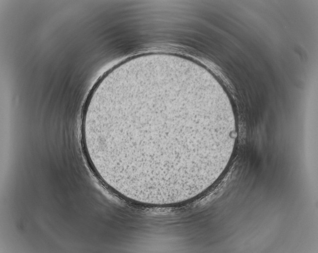 X0000112520846200909281015