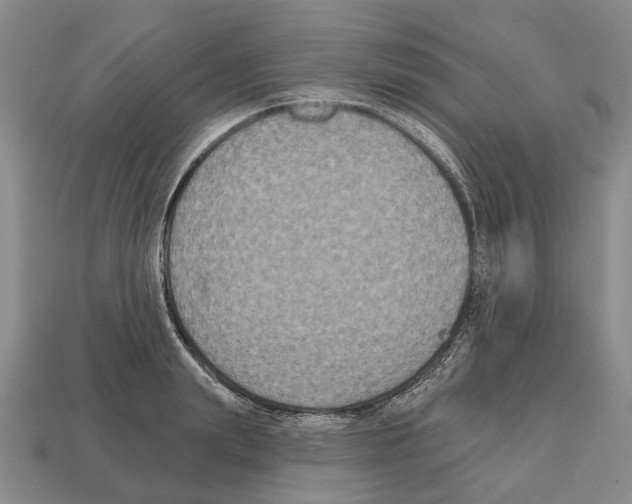 X0000112520847200909281015