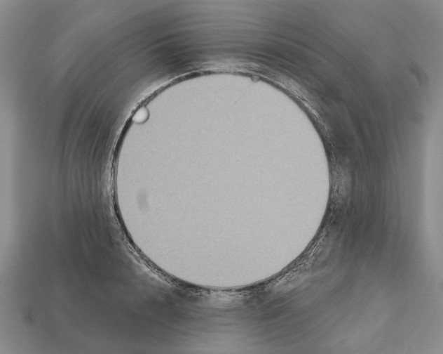 X0000112520848200909281015