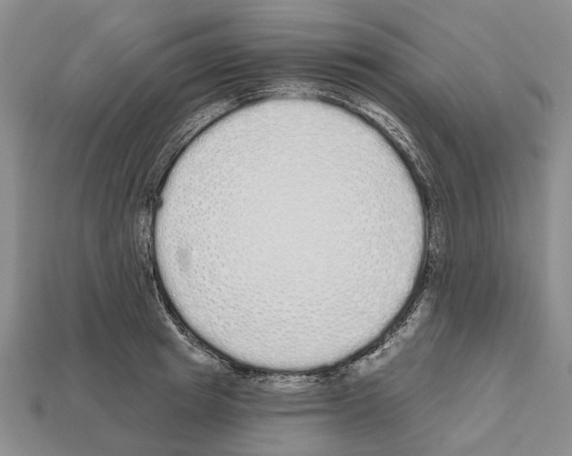 X0000112520849200909281015