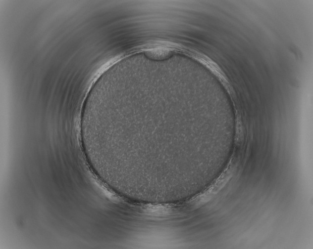 X0000112520850200909281015