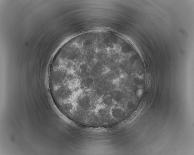 X0000112520851200909281015