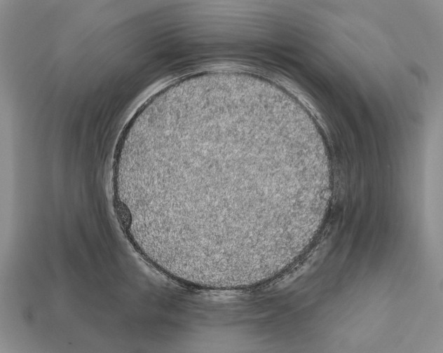 X0000112520853200909281015