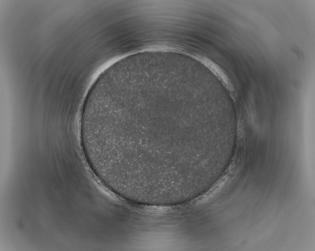 X0000112520854200909281015