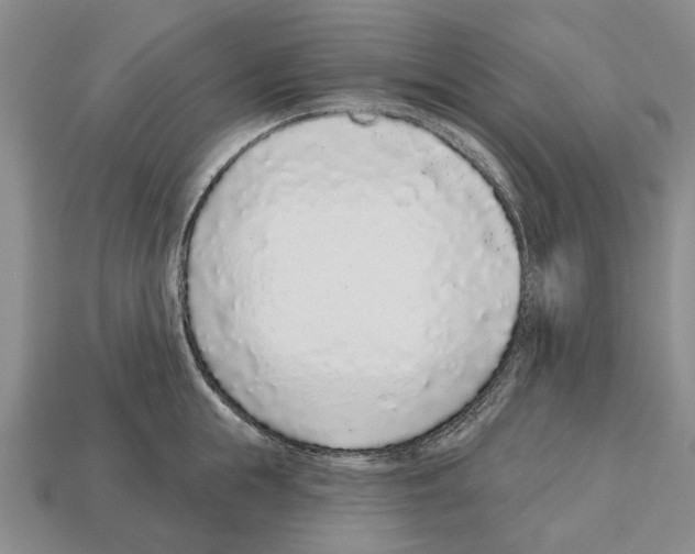 X0000112520855200909281015